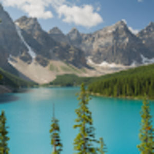 Meet your Posher, Creative